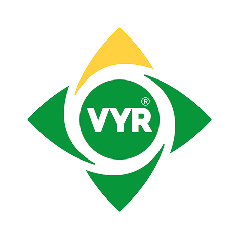 Vyr
